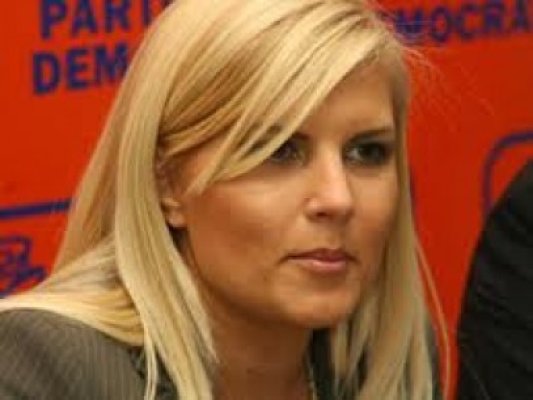 Elena Udrea, lider PDL: